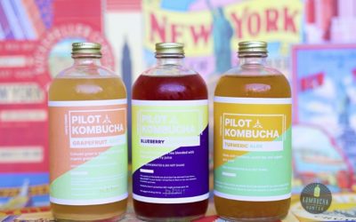 Critical information every kombucha drinker needs to know
