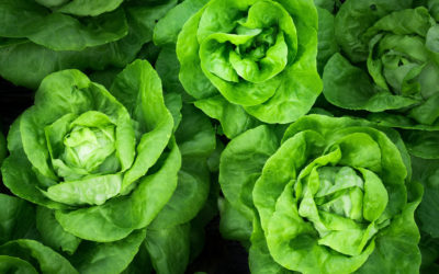5 ingredients to make salad exciting